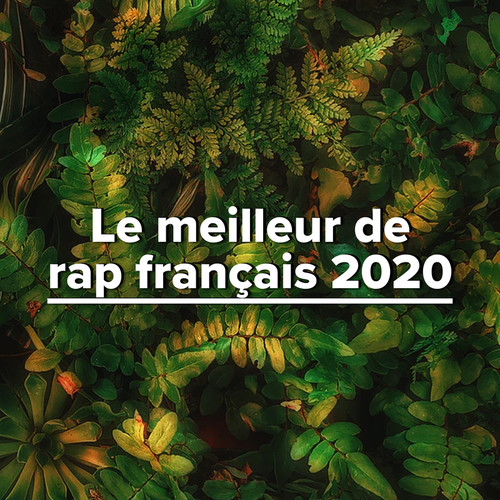 Le meilleur de rap français 2020 (Explicit)