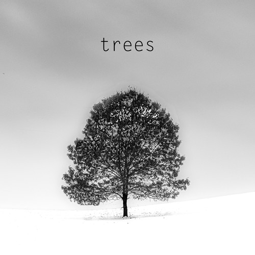 Trees