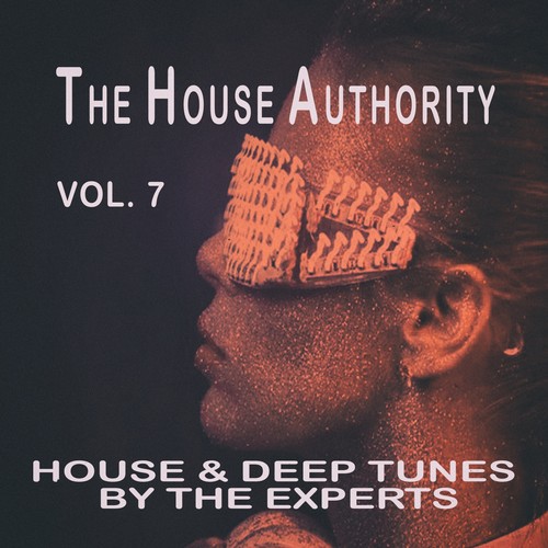 The House Authority, Vol. 7