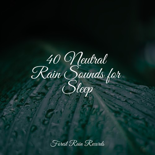 40 Neutral Rain Sounds for Sleep