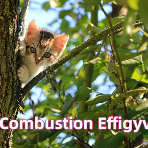 Combustion Effigy