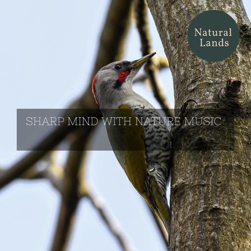 Sharp Mind with Nature Music