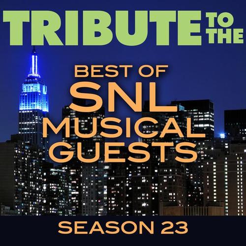 Tribute to the Best of SNL Musical Guests Season 23