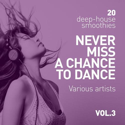 Never Miss A Chance To Dance (20 Deep-House Smoothies) , Vol. 3