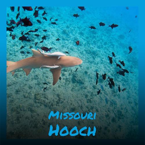 Missouri Hooch