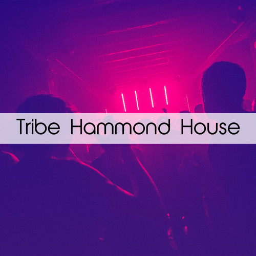 Tribe Hammond House