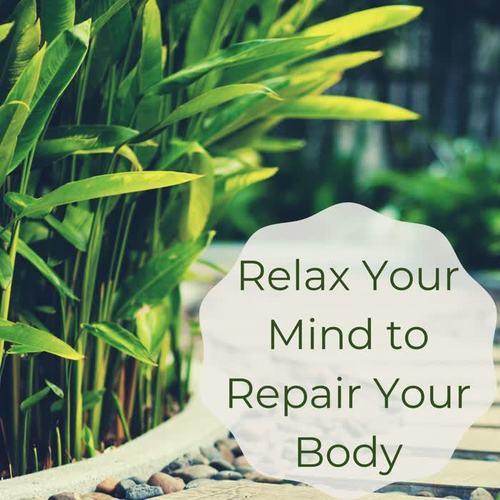 Relax Your Mind to Repair Your Body: Healing Nature Sounds