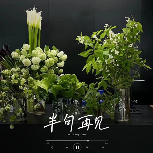 半句再见