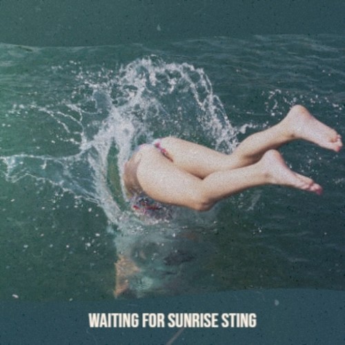 Waiting for Sunrise Sting