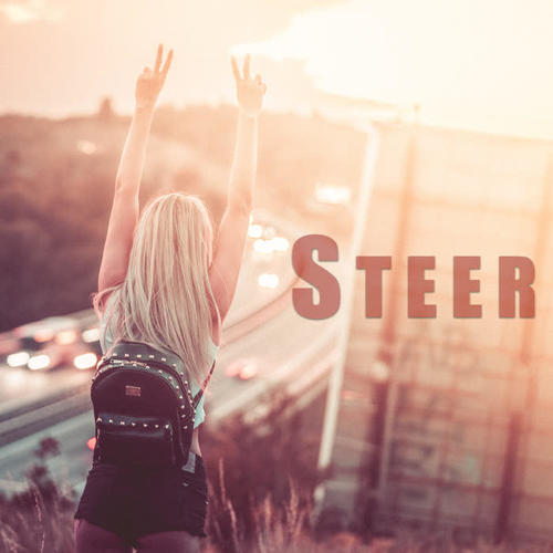 STEER