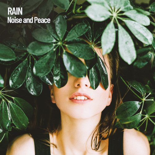 Rain: Noise and Peace