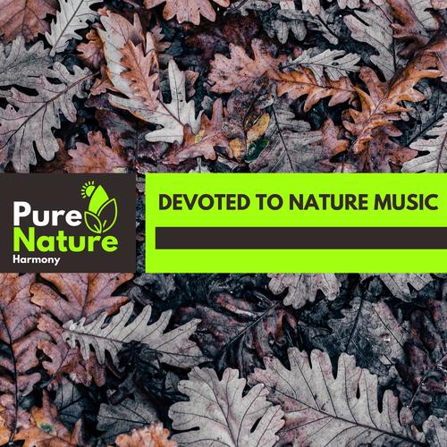 Devoted to Nature Music