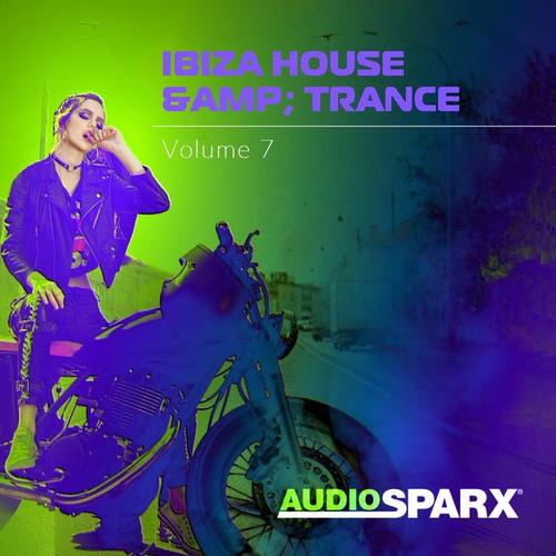 Ibiza House & Trance Volume 7