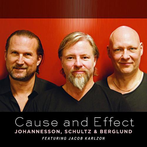 JOHANNESSON, Peter / SCHULTZ, Max / BERGLUND, Dan: Cause and Effect