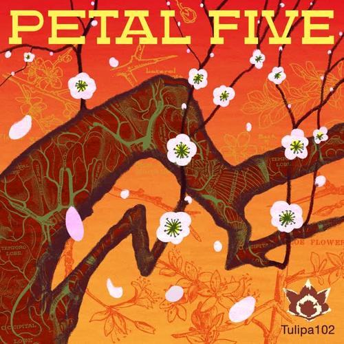 Petal Five