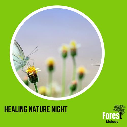 Healing Nature Night