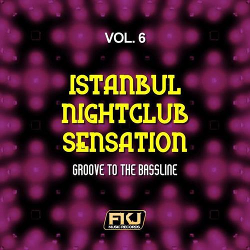 Istanbul Nightclub Sensation, Vol. 6 (Groove to the Bassline)