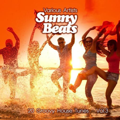 Sunny Beats (20 Groovy House Tunes) , Vol. 3