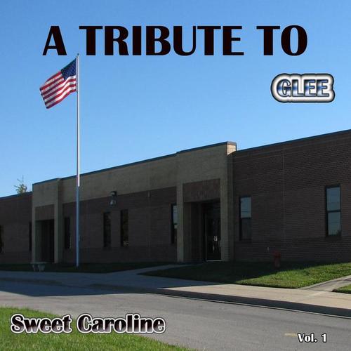 A Tribute to Glee Sweet Caroline, Vol. 1