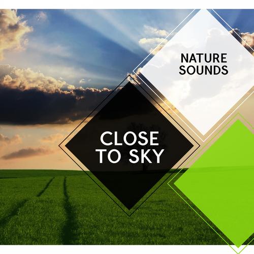 Close to Sky - Nature Sounds