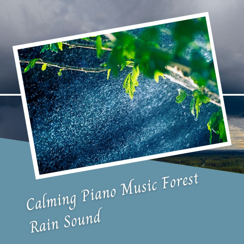 Calming Piano Music Forest Rain Sound - 2 Hours