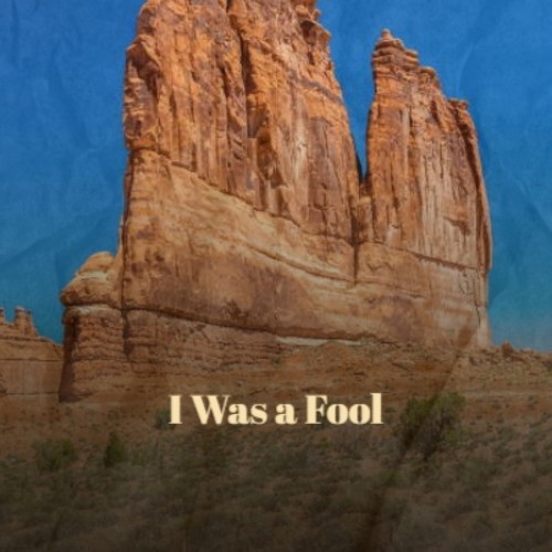 I Was a Fool