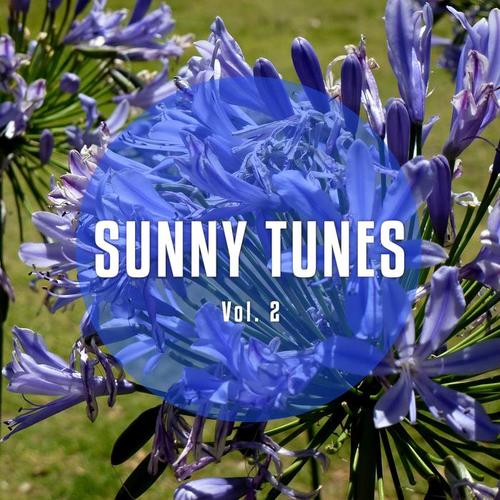 Sunny Tunes, Vol. 2 (Sundrenched Chilled & Relaxed Dance Beats)