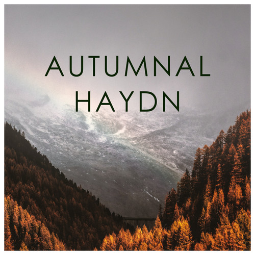 Autumnal Haydn