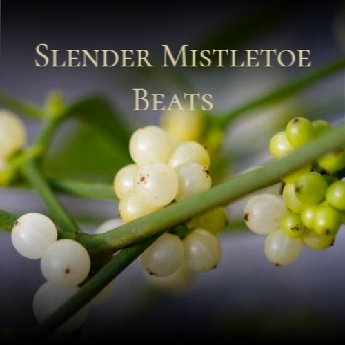 Slender Mistletoe Beats