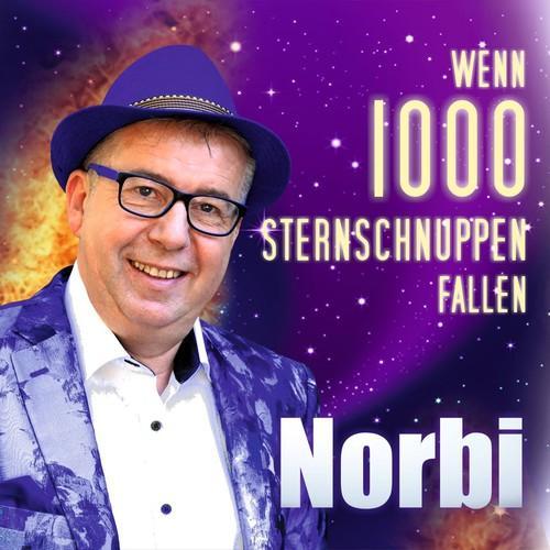 Wenn 1000 Sternschnuppen fallen