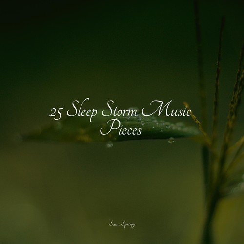 25 Sleep Storm Music Pieces