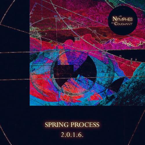 Spring Process 2016