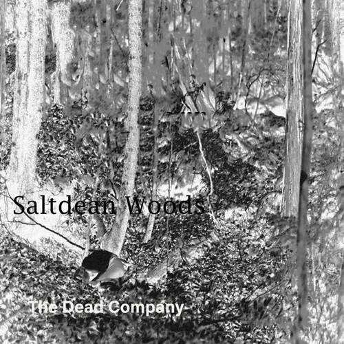 Saltdean Woods (Explicit)