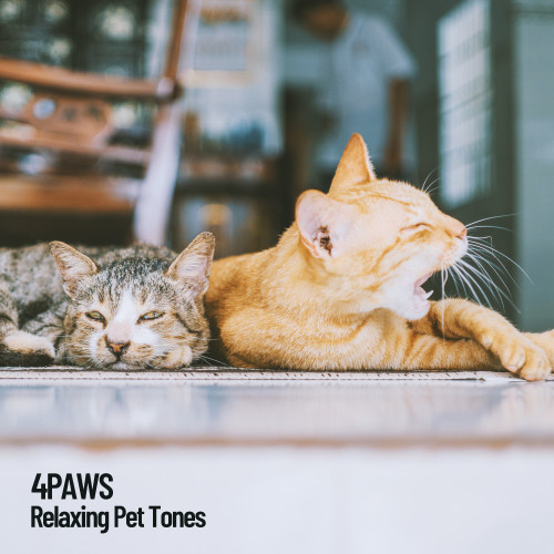 4Paws: Relaxing Pet Tones