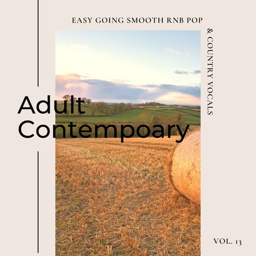 Adult Contemporary: Easy Going Smooth Rnb Pop & Country Vocals, Vol. 13