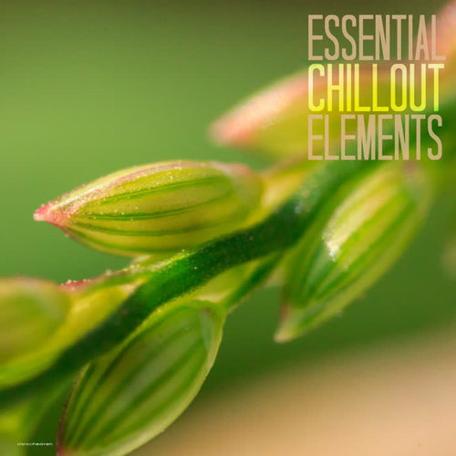 Essential Chillout Elements