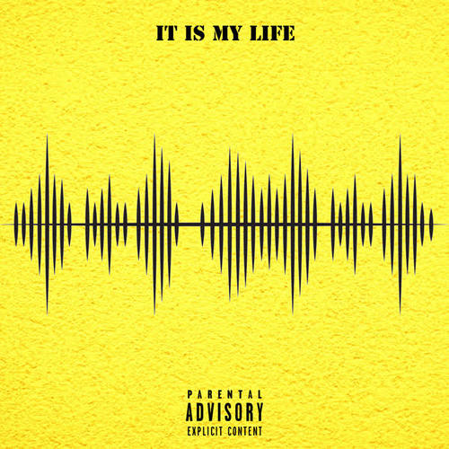 It Is My Life (Explicit)