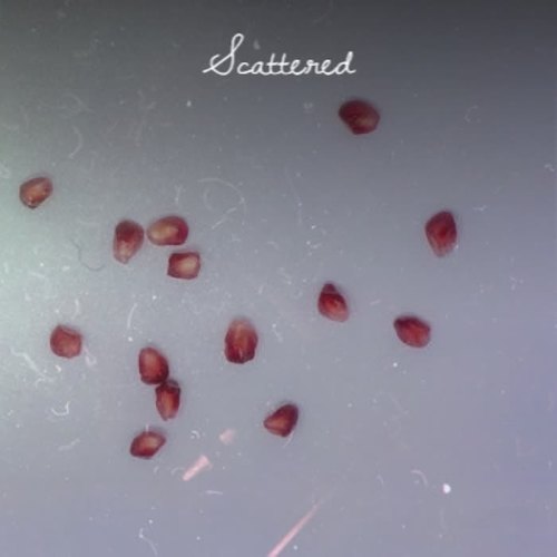 Scattered