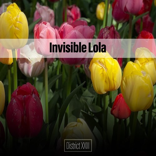 Invisible Lola District XXIII