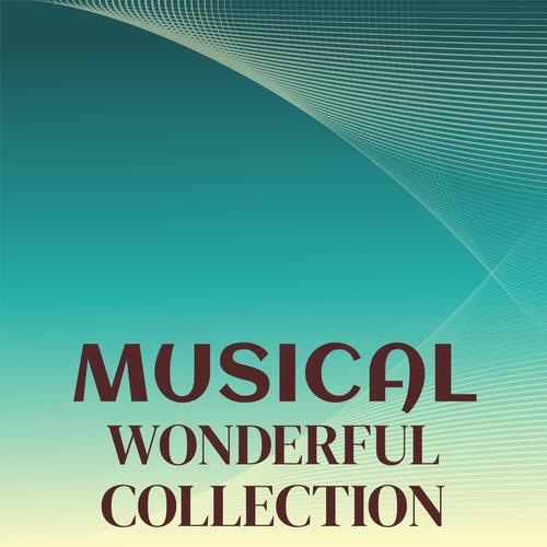 Musical Wonderful Collection