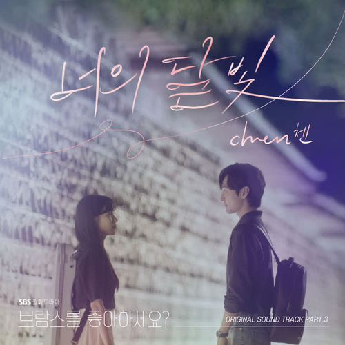 브람스를 좋아하세요? OST Part.3