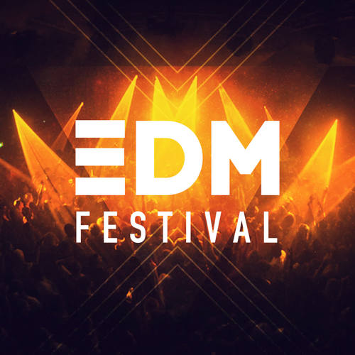 EDM Festival