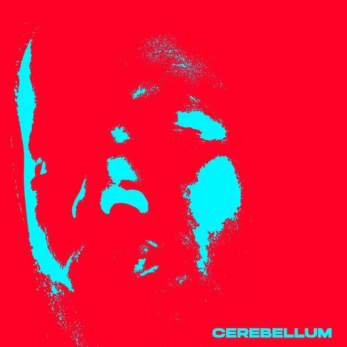 cerebellum