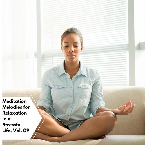 Meditation Melodies For Relaxation In A Stressful Life, Vol. 09