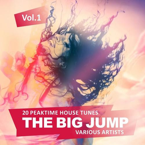 The Big Jump (20 Peaktime House Tunes) , Vol. 1