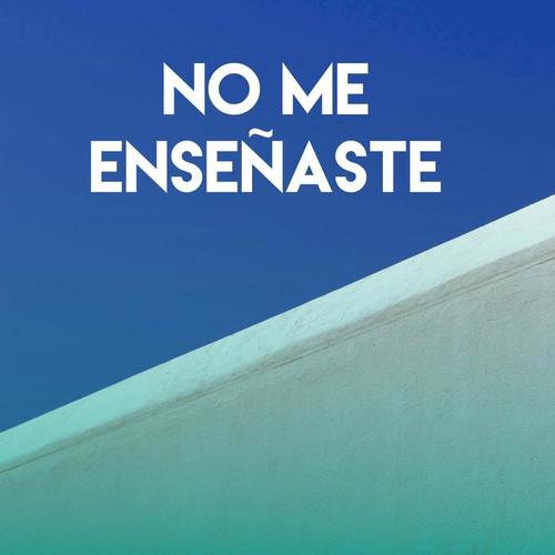 No Me Enseñaste