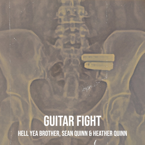 Guitar Fight