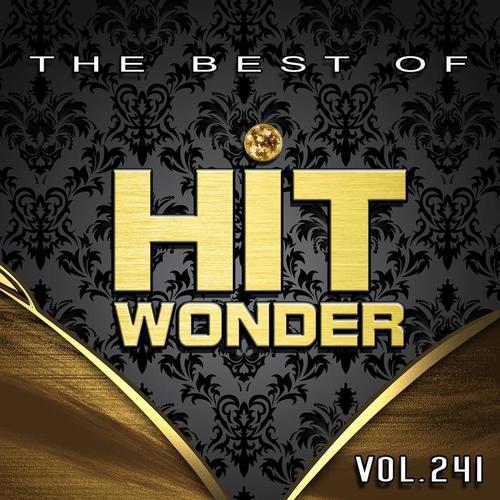 Hit Wonder: The Best of, Vol. 241