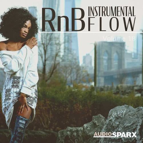 RnB Instrumental Flow Volume 18