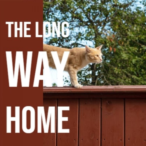 The Long Way Home